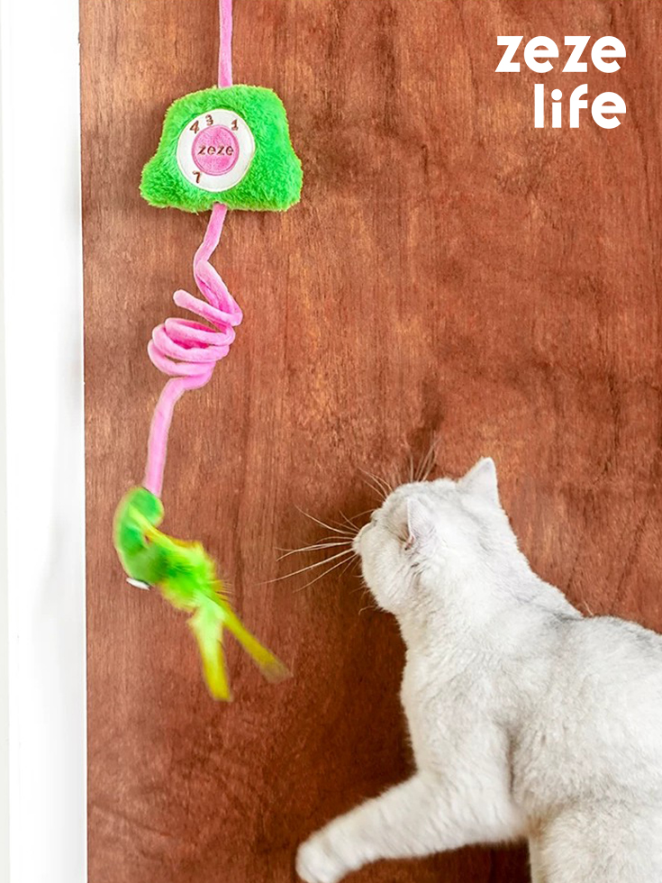 Elastic Cat Wand Toy (12)