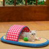Funny Slippers Mat for Kittens (11)
