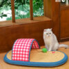 Funny Slippers Mat for Kittens (12)