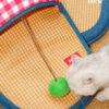 Funny Slippers Mat for Kittens (13)