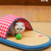 Funny Slippers Mat for Kittens (7)