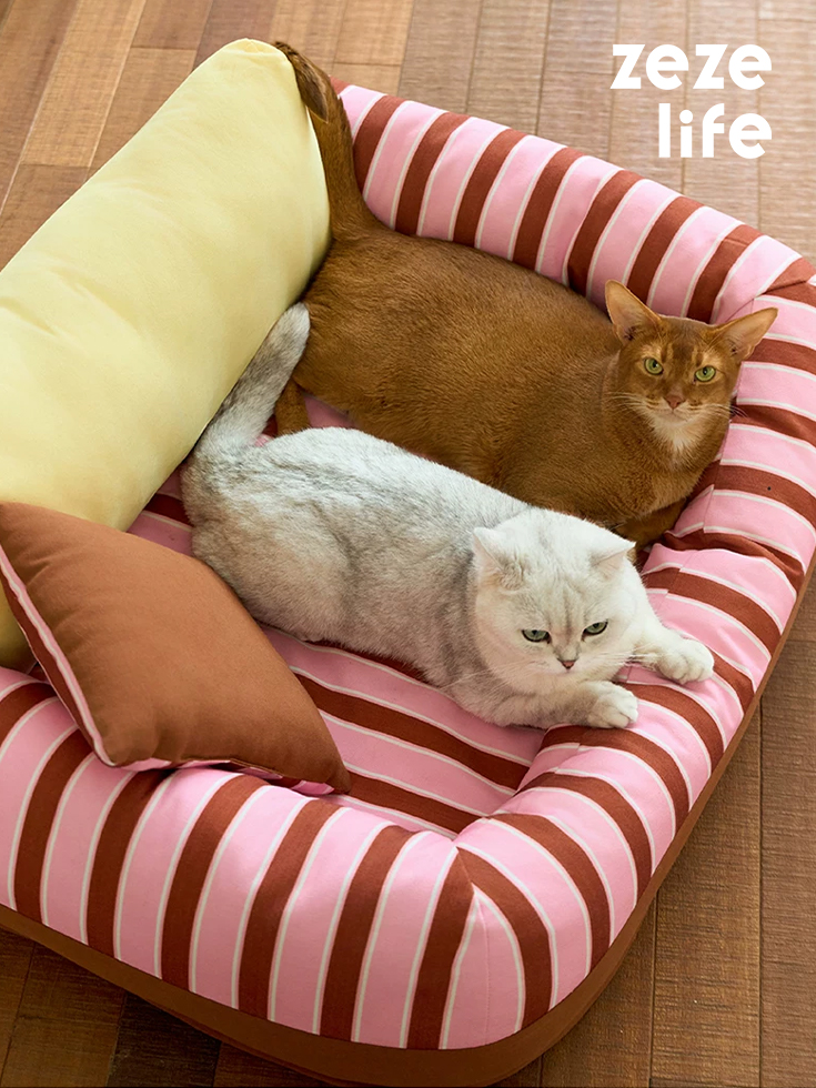 Removable and Washable Premium Pet Sofa Bed (1)
