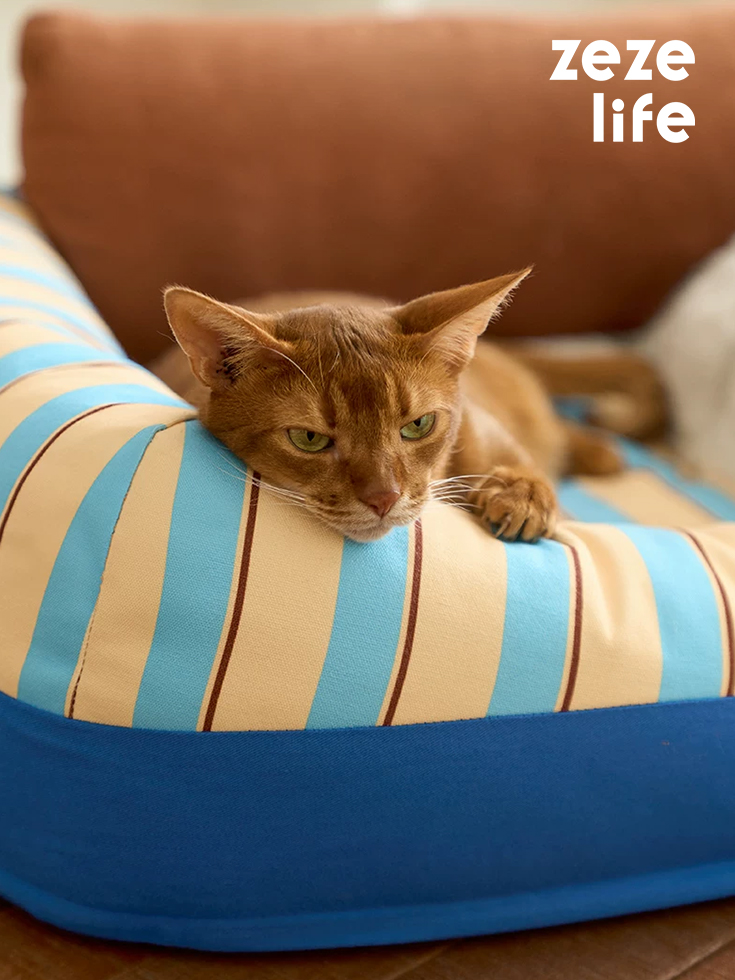 Removable and Washable Premium Pet Sofa Bed (19)