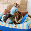 Removable and Washable Premium Pet Sofa Bed (20)