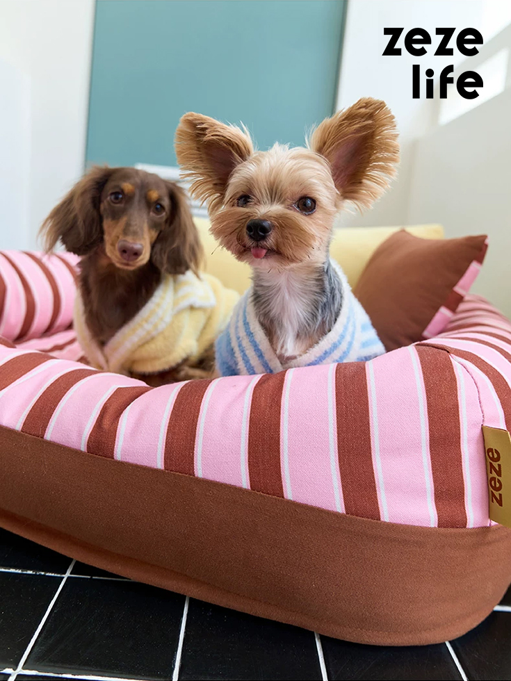 Removable and Washable Premium Pet Sofa Bed (4)