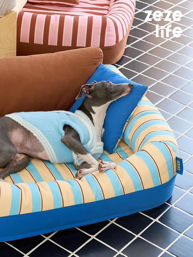 Removable and Washable Premium Pet Sofa Bed (7)