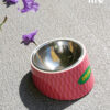 Stainless Steel Slanted Pet Bowl (11)