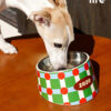 Stainless Steel Slanted Pet Bowl (14)