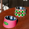 Stainless Steel Slanted Pet Bowl (2)