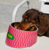 Stainless Steel Slanted Pet Bowl (4)