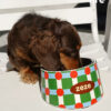 Stainless Steel Slanted Pet Bowl (5)