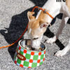 Stainless Steel Slanted Pet Bowl (7)