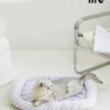 Summer Cooling Mat for Cats (15)