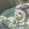 Summer Cooling Mat for Cats (6)