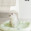 Summer Cooling Mat for Cats (9)