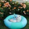 Swim Ring Cat Bed (7)