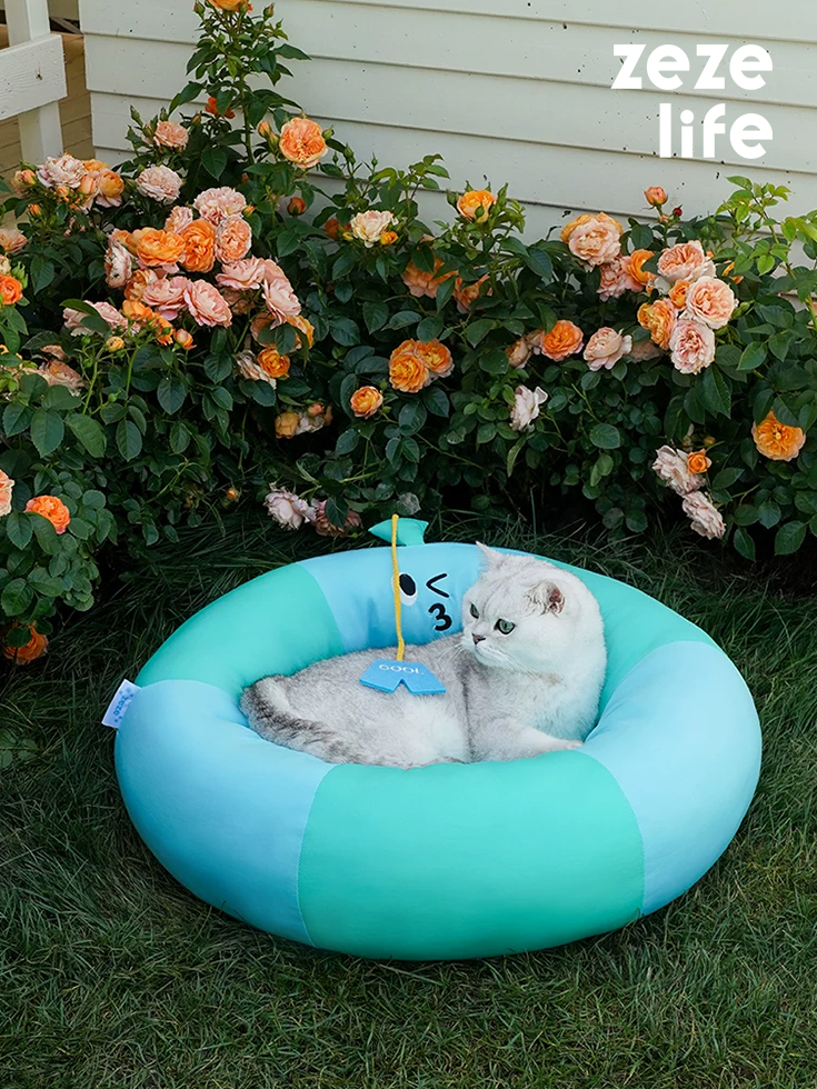 Swim Ring Cat Bed (7)