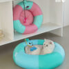 Swim Ring Cat Bed (8)