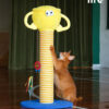 Trophy Cat Scratching Post Claw Grinding Cat Toy (4)