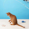 cat toy zezelife (2)