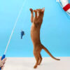 cat toy zezelife (5)