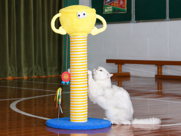 zezelife-trophy-cat-scratching-post-heavy-duty image