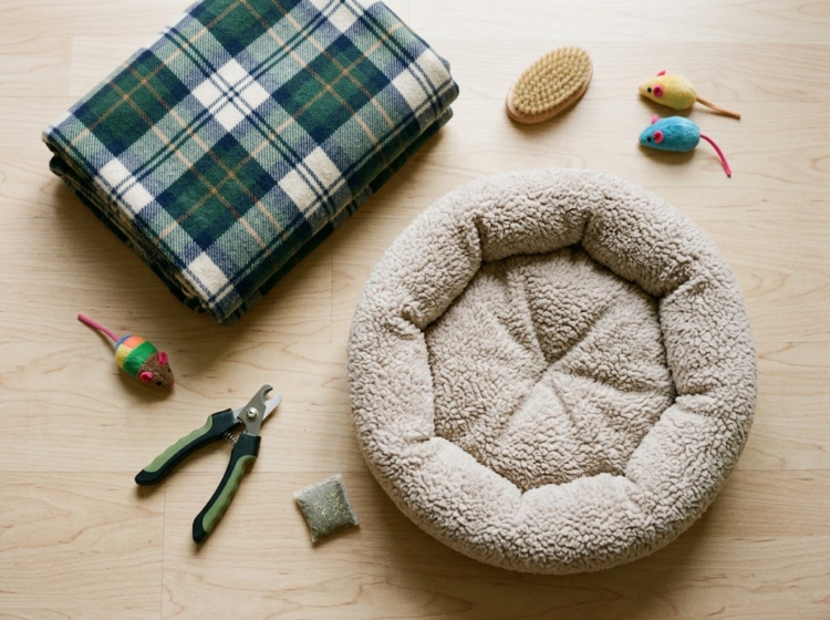 cat-kneading-blankets-faq-guide image